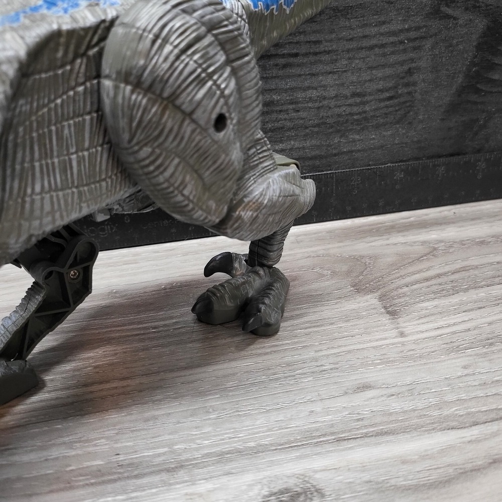 Remote Controlled Raptor No Remote! Tested! - Picture 12 of 16
